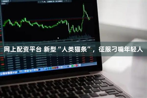 网上配资平台 新型“人类猫条”，征服刁嘴年轻人