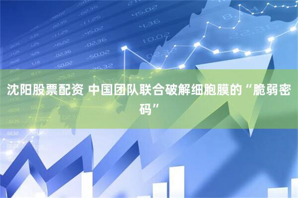 沈阳股票配资 中国团队联合破解细胞膜的“脆弱密码”