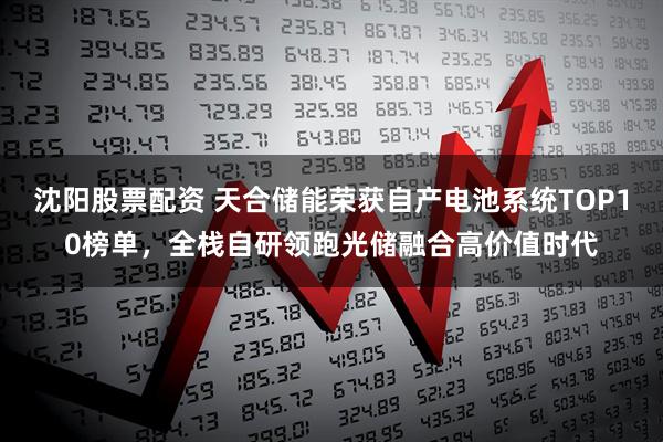 沈阳股票配资 天合储能荣获自产电池系统TOP10榜单，全栈自研领跑光储融合高价值时代