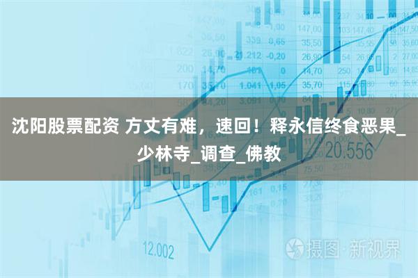 沈阳股票配资 方丈有难，速回！释永信终食恶果_少林寺_调查_佛教
