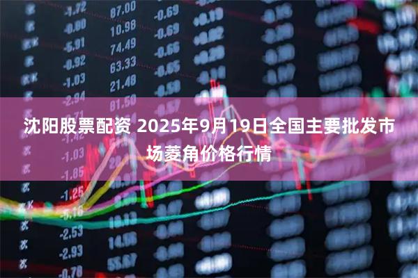 沈阳股票配资 2025年9月19日全国主要批发市场菱角价格行情
