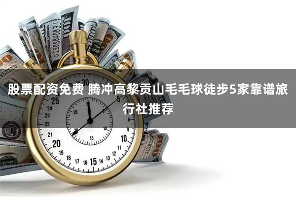 股票配资免费 腾冲高黎贡山毛毛球徒步5家靠谱旅行社推荐